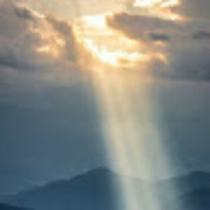 Meet your Posher, Sherrie